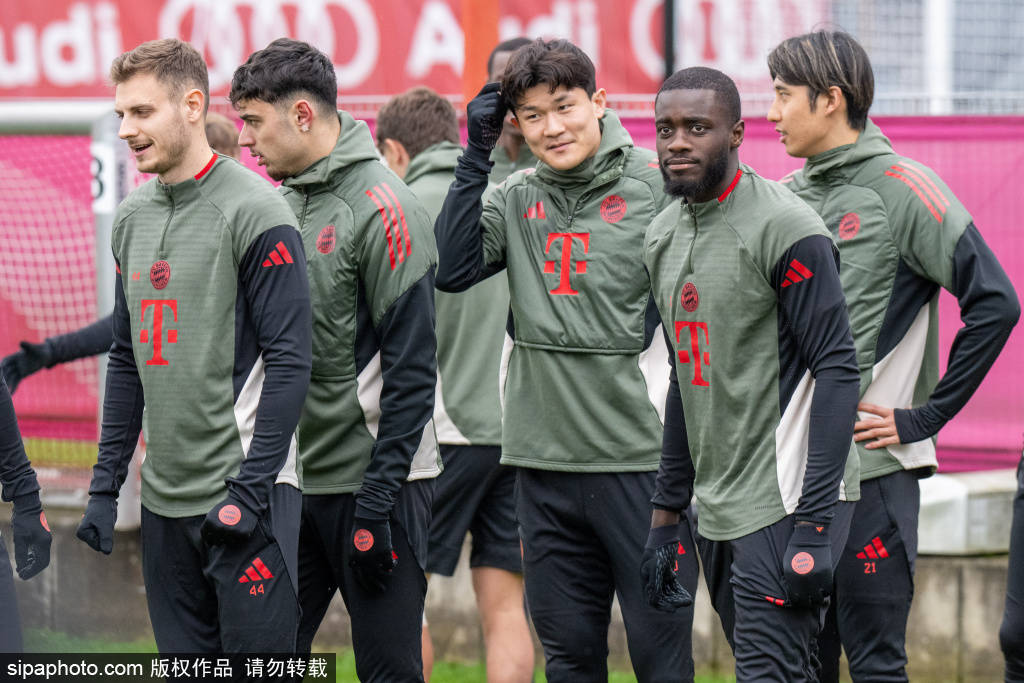 凯恩与帕夫洛维奇：欧冠中的绝对核心与稳定屏障